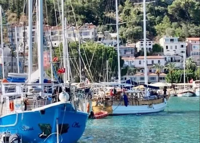 Harbour View 2